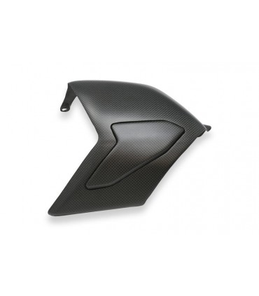 Cover forcellone Cnc Racing Ducati Panigale V4 - ZA864Y